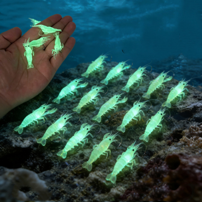 16 stuks lichtgevende garnalen - Fishing Lure Accessories recensie en prijs